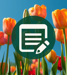 Spring into Financial Planning: Post-Tax Season Insights