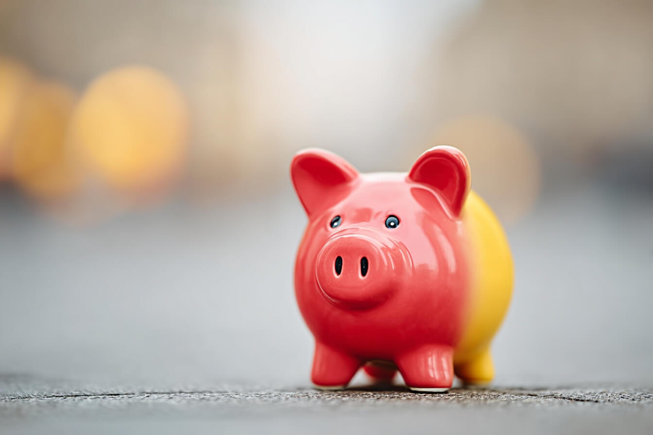 An image of a piggy bank, representing the budget as an allocation of resources for a given fiscal period.